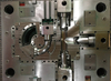 Mold (1)